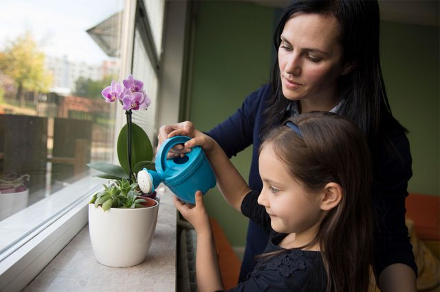 Mujer y niña regando una planta